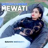 About Karke Chale Singaar Mewati Song